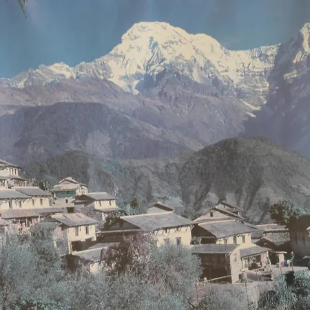 Mount Annapurna Guest House